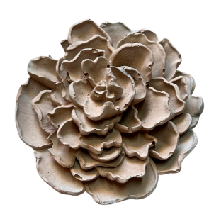 Rose - Flat Open Rose