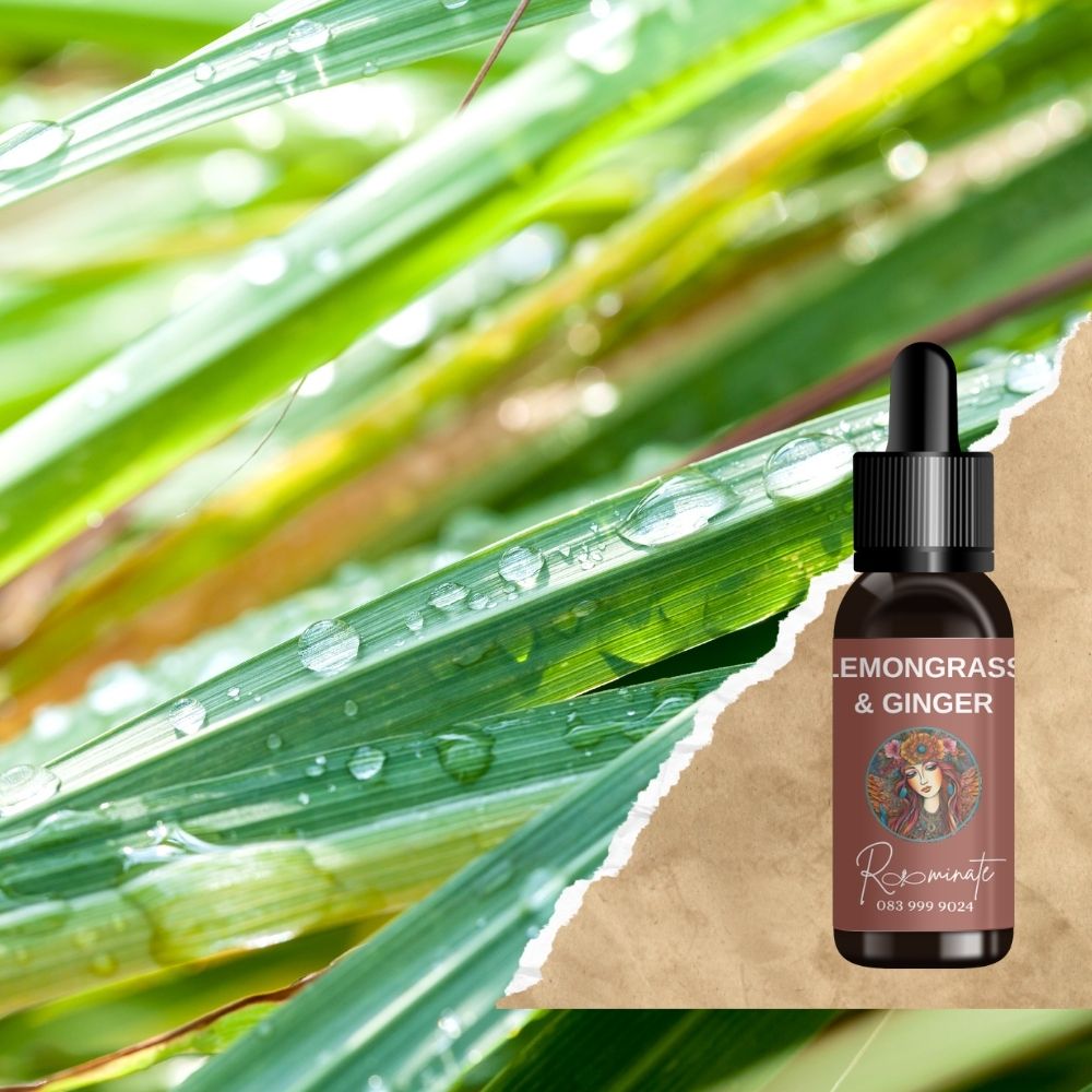 Lemongrass & Ginger - Fragrance Oil