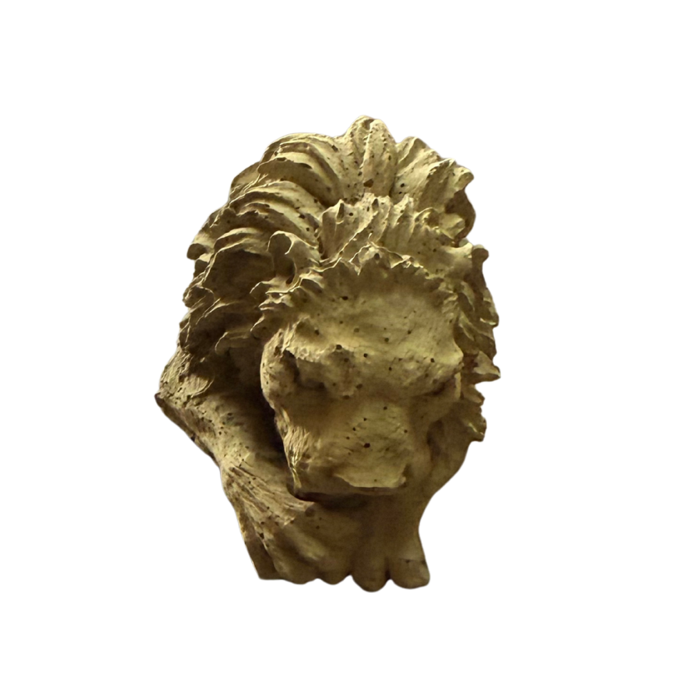 Lions Head