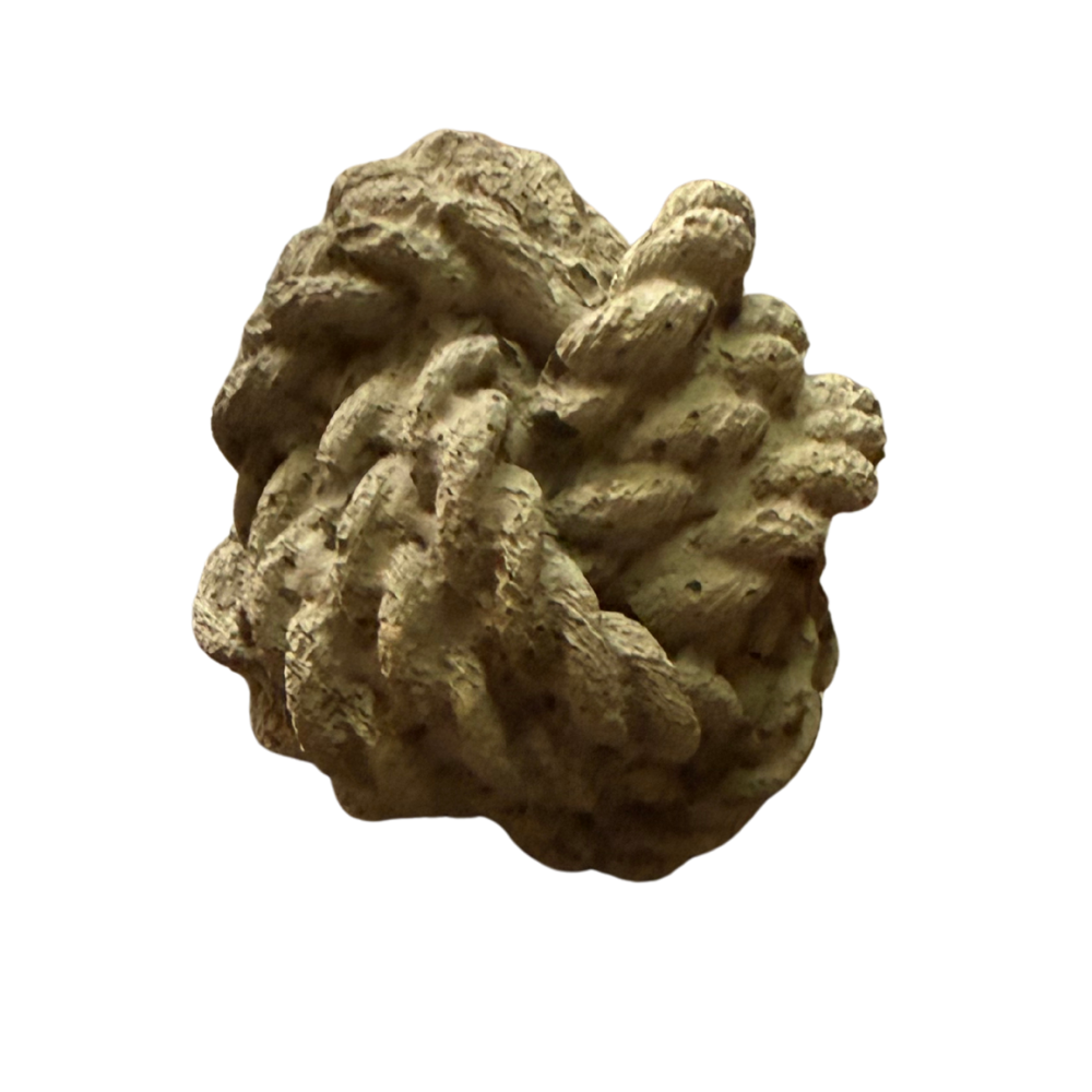 Knot