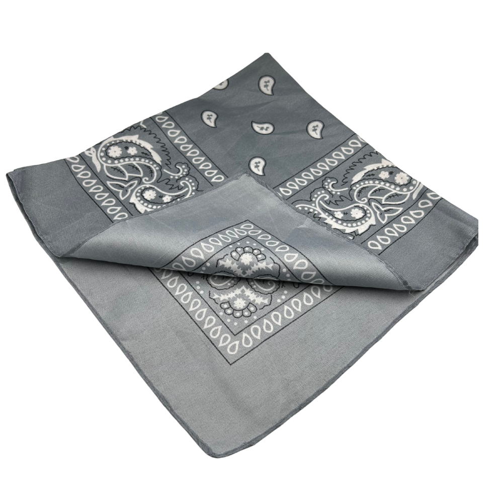 Traditional Paisley Bandana
