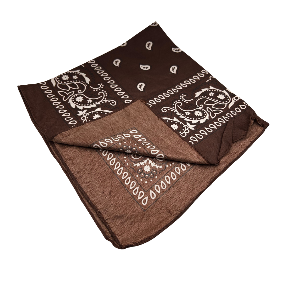 Traditional Paisley Bandana
