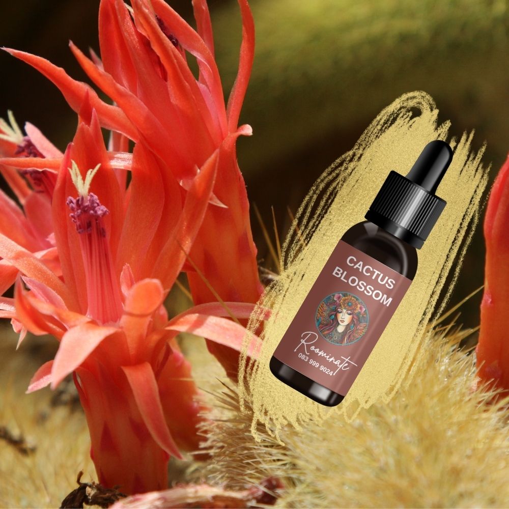 Cactus Blossom - Fragrance Oil