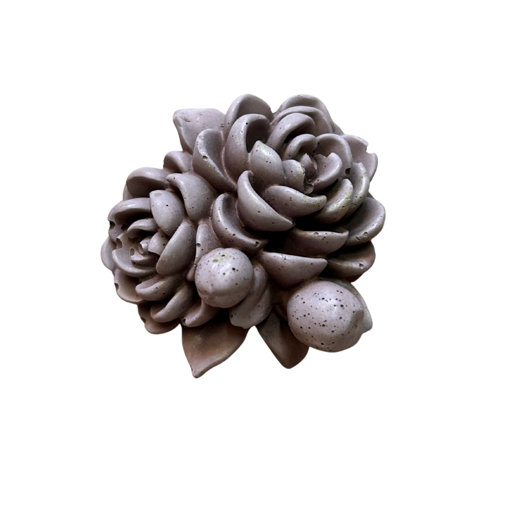Rose - Double
