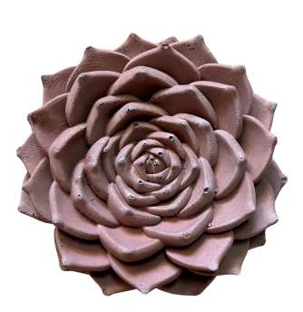 Desert Rose