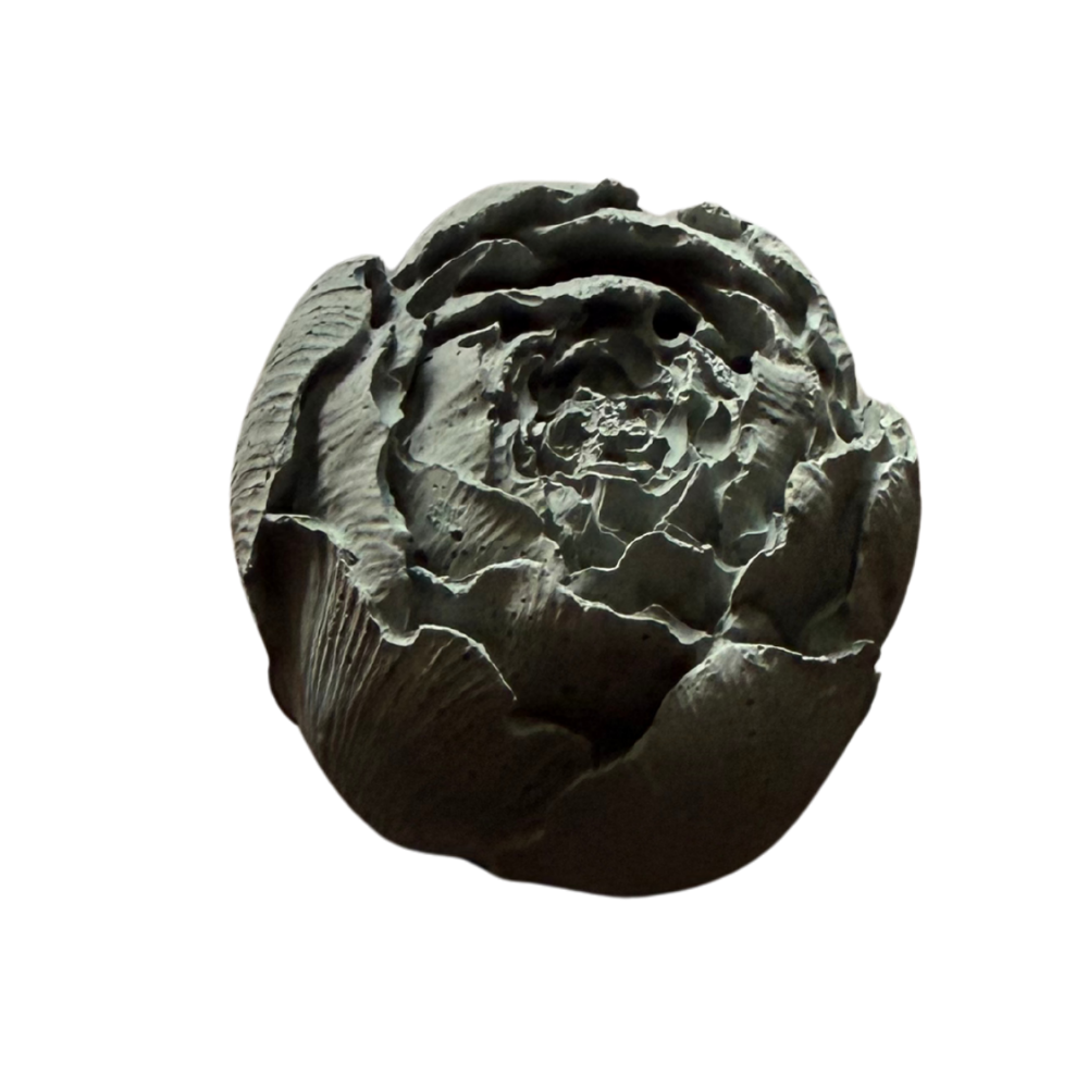 Peony Bud