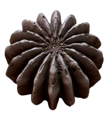 Cactus - Round