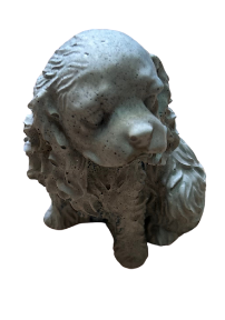 Dog - Spaniel