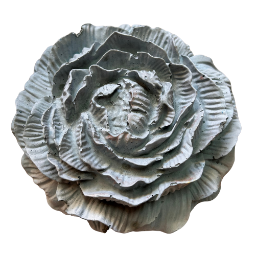 Peony - X Large